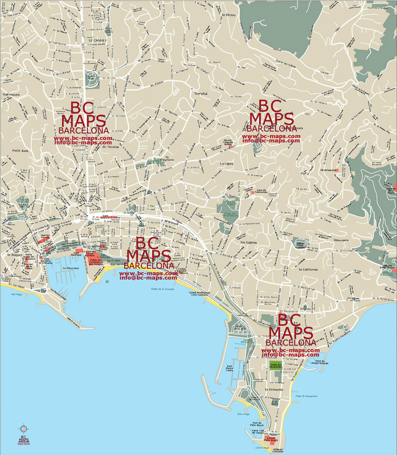 Cannes Vector Map 