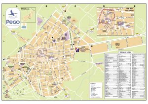 Mapa Pego 2019 casco urbano