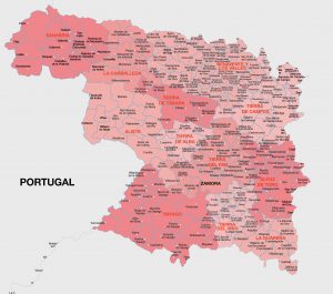 Mapa vectorial illustrator eps municipios Zamora
