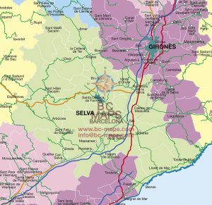 la Selva mapa vectorial illustrator eps la Selva mapa vectorial illustrator eps