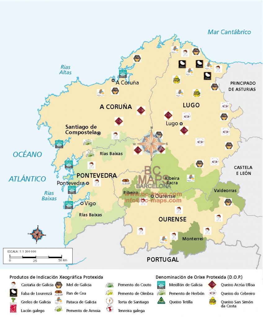Mapa galicia DO Vectorial Tambre
