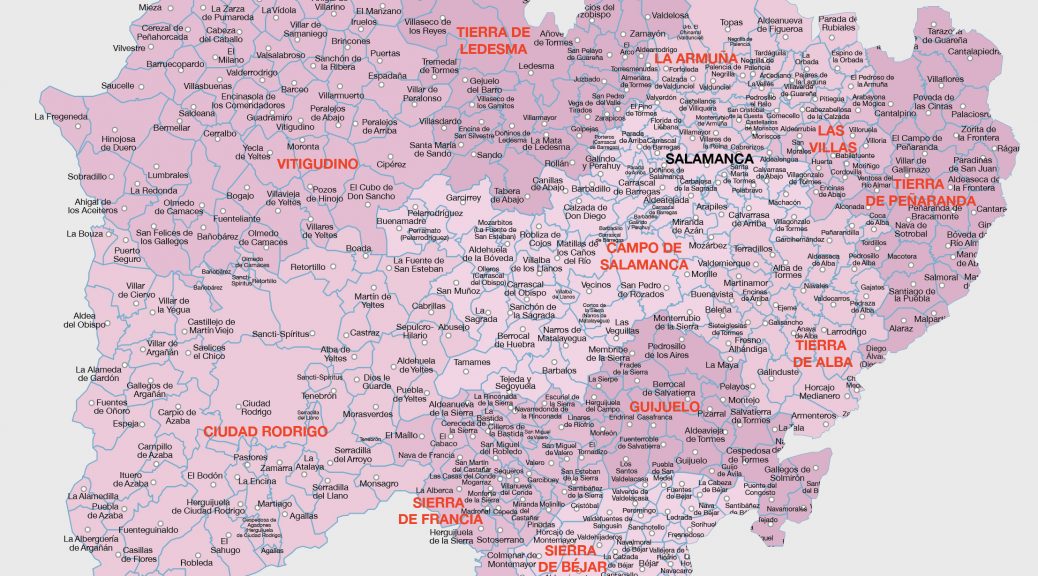 Mapa vectorial illustrator eps municipios Salamanca