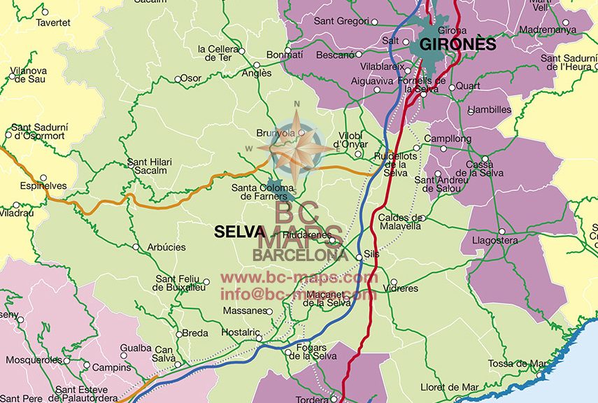 la Selva mapa vectorial illustrator eps