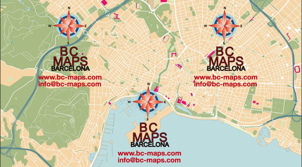 palma-Mallorca-mapa-plano-vectorial-illustrator-eps-editable