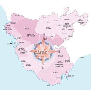 Mapa de municipios y comarcas de Cádiz formato vectorial editable