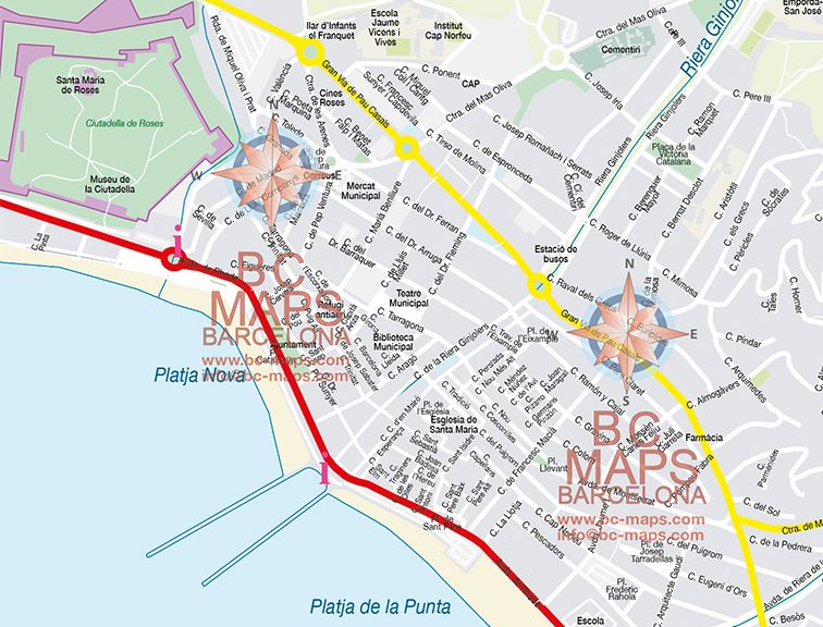 Roses mapa vectorial illustrator eps