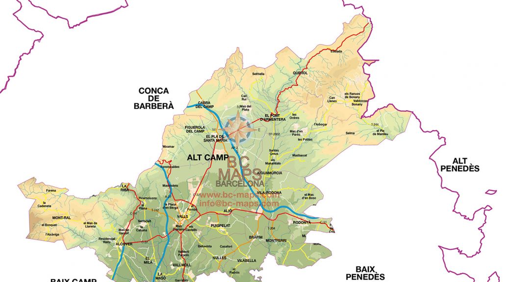 Mapa Alt Camp vectorial illustrator eps mural