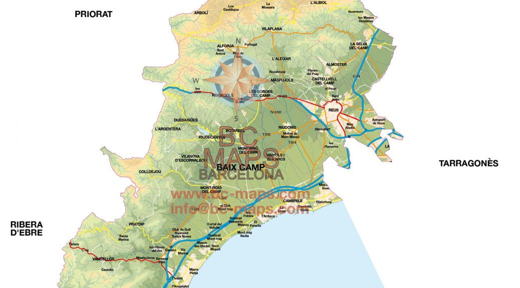 Mapa Baix Camp vectorial illustrator eps mural
