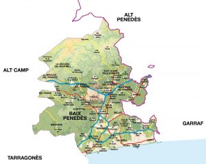 Mapa Baix Penedes vectorial illustrator eps mural